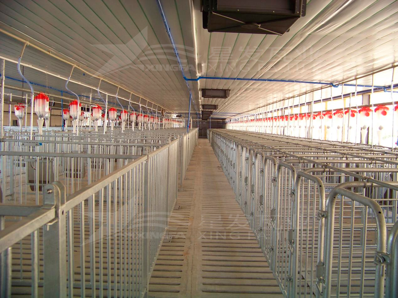 高溫來襲，養(yǎng)殖場安裝樹脂瓦，為小動物營造避暑勝地