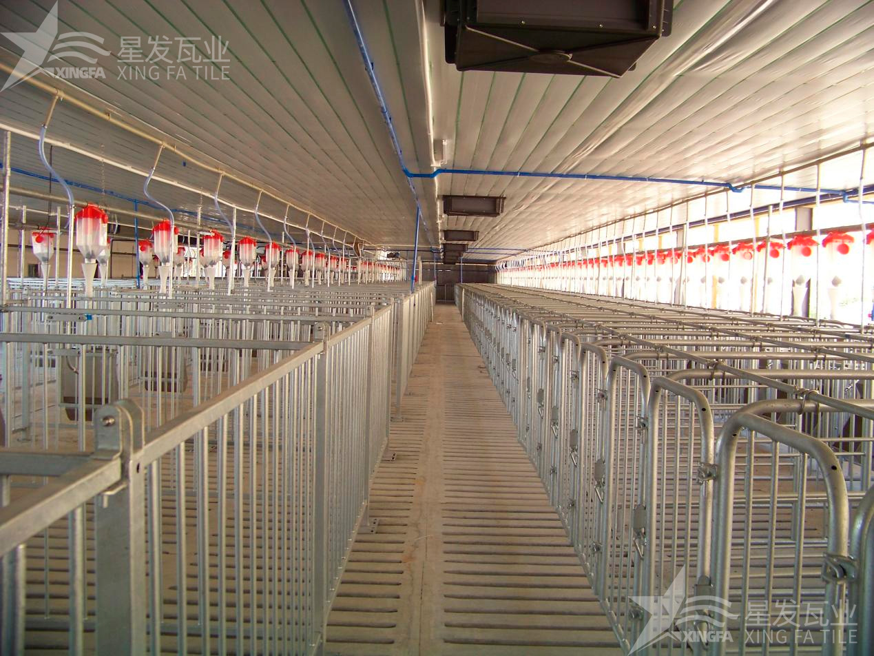 炎炎夏日即將來臨，為什么養(yǎng)殖場越來越多地選擇PVC瓦？