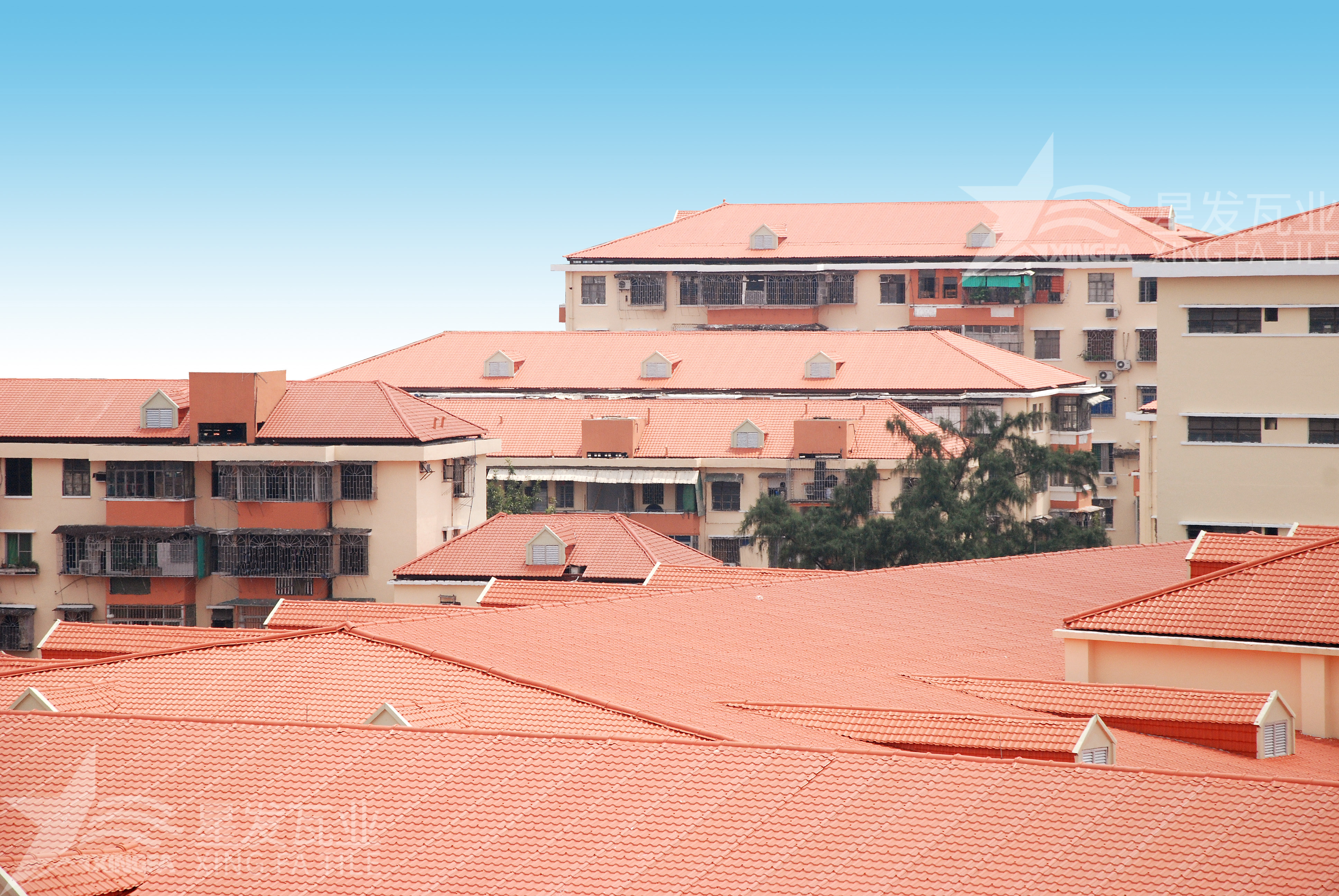 揭秘！居然還有人不知道合成樹脂瓦多少錢一方