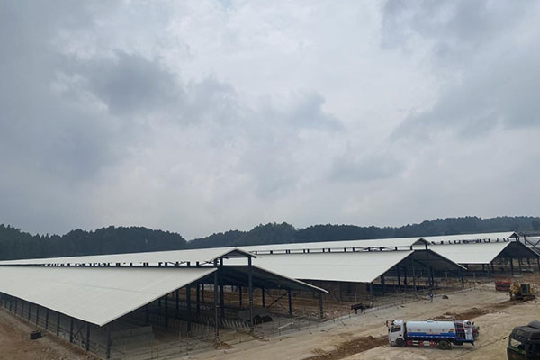 延長PVC瓦使用壽命的三大關(guān)鍵因素，千萬別忽視！