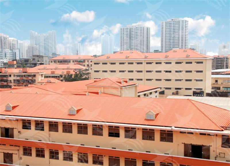 樹脂瓦耐用30年的奧秘！ASA合成樹脂瓦具有哪些優(yōu)異的特點(diǎn)