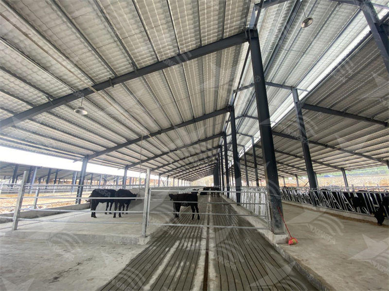 樹脂瓦：養(yǎng)殖場的夏日守護者，為小動物打造涼爽樂園